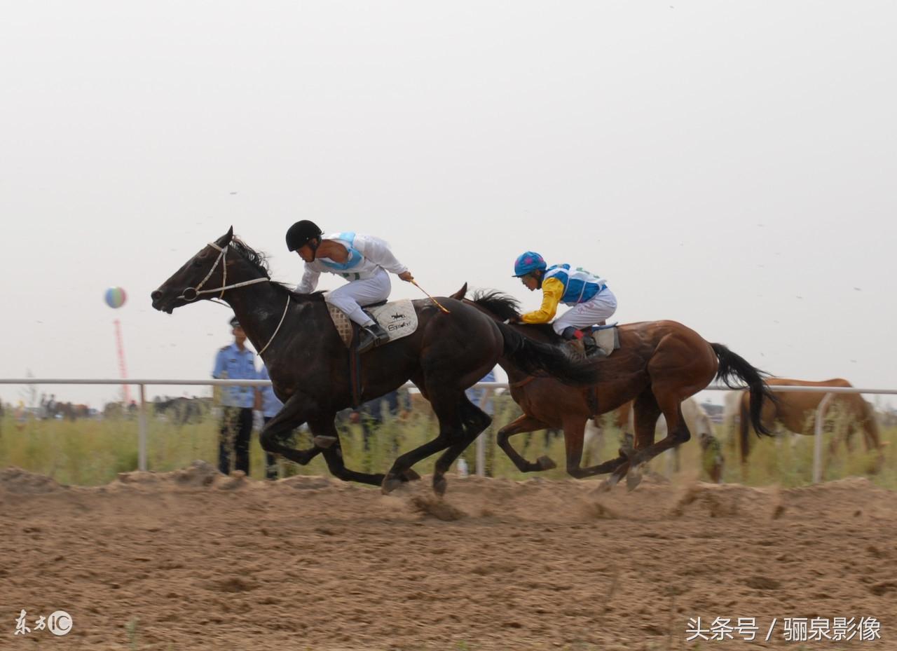 內(nèi)蒙古賽馬比賽視頻，小巷中的激情與獨特風味探尋之旅