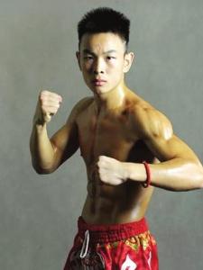 武林風(fēng)明星，高科技重塑生活體驗的新里程碑