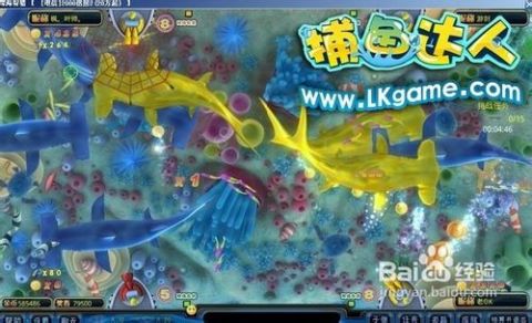 掌握最新捕魚技巧，輕松成為捕魚達(dá)人！