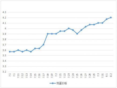 滕州雞蛋價格實(shí)時行情播報(bào)