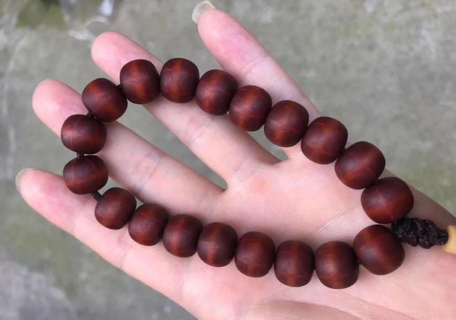 六道木價格探析，揭示獨特文化木材的價值觀點