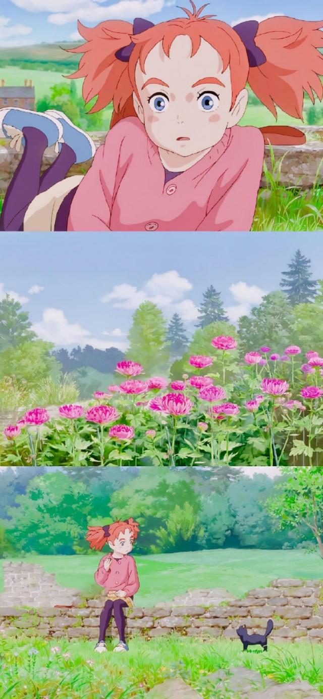 瑪麗動漫，夢幻之旅，開啟二次元世界的大門?