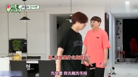 金俊昊，音樂(lè)巨星的崛起與深遠(yuǎn)影響