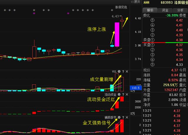 洛陽鉬業(yè)重組最新動態(tài)揭秘，步驟指南與最新進展