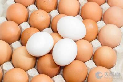 今日雞蛋最新報價詳解，步驟指南與價格更新通知