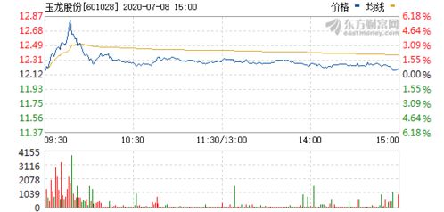 玉龍股份股票行情最新動(dòng)態(tài)，股市熱議焦點(diǎn)??