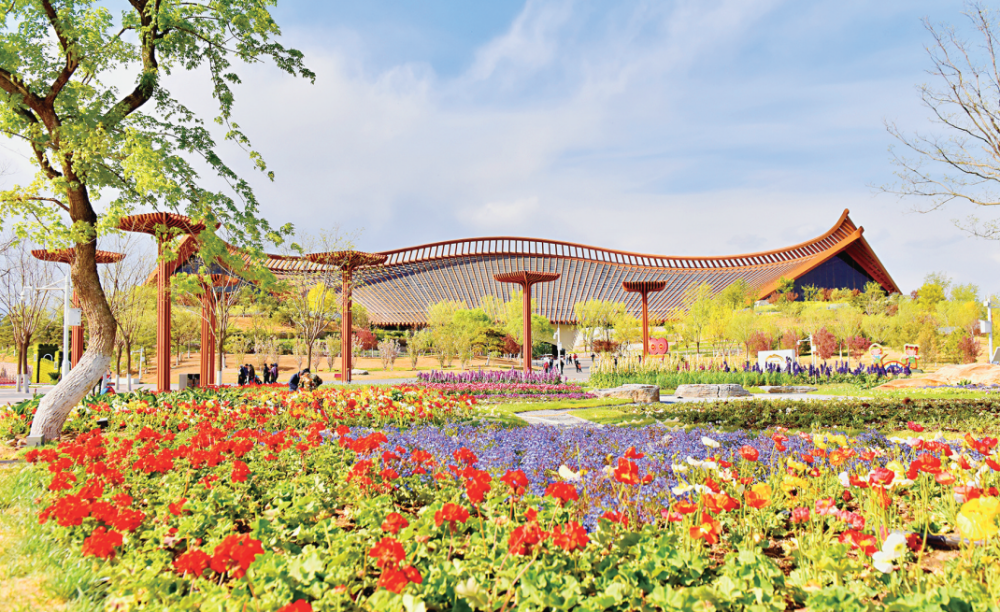 延慶世園會最新動態(tài)，綠色脈搏下的時代印記