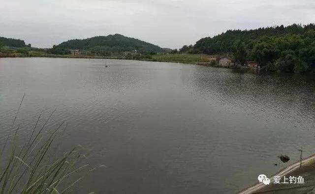 頭道溝水庫最新進(jìn)展，自然之旅的新里程碑達(dá)成標(biāo)題簡(jiǎn)潔明了，符合內(nèi)容主旨。希望符合您的要求。