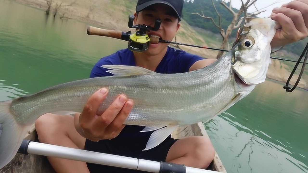 最新翹嘴魚釣魚直播，探尋小巷釣魚天堂，直播實(shí)戰(zhàn)分享！