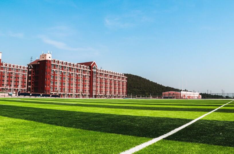 山東大學(xué)動(dòng)漫設(shè)計(jì)專業(yè)，自然美景中的探索之旅