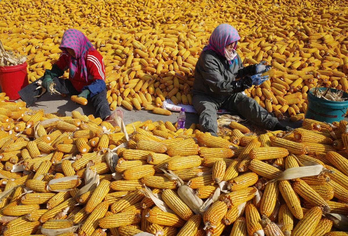 漁具配件 第73頁