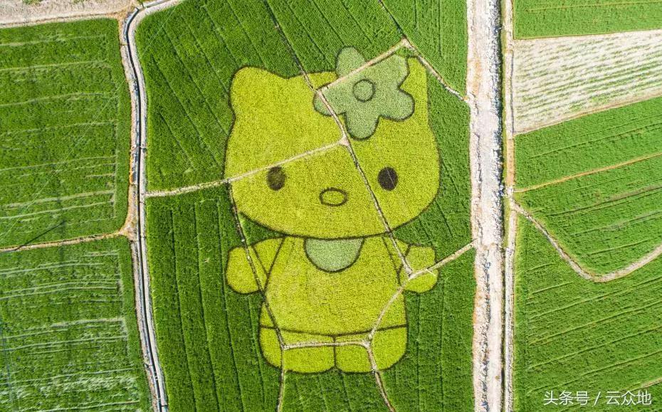 小巷深處的寶藏小店，最新賺錢創(chuàng)意大揭秘