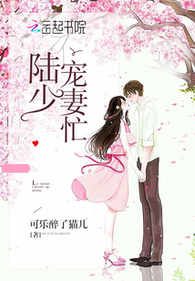 寵妻夜夜新章節(jié)深度解析與觀點闡述