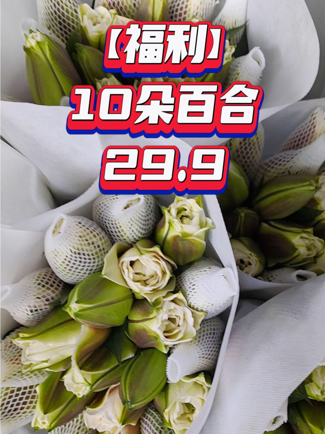 百合價(jià)格的多元解讀與解析