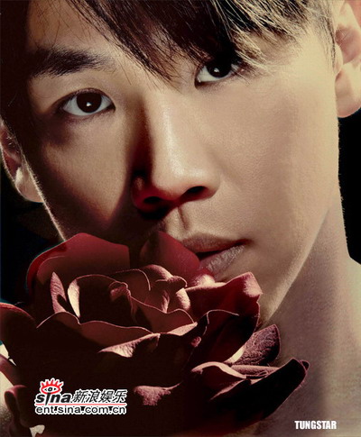 陶喆全新專輯自然之旅，探尋內(nèi)心寧靜的旋律呼喚