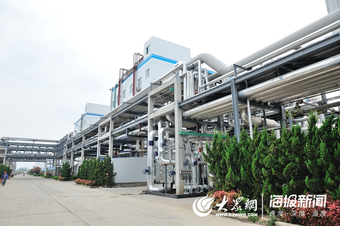 定陶賽托生物上市，變化中的學(xué)習(xí)成就自信與輝煌