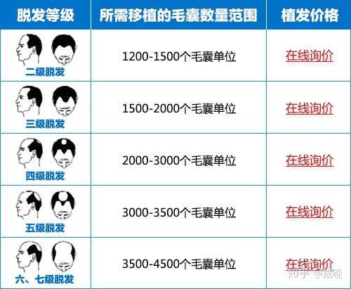 種頭發(fā)的價(jià)格之旅，探尋價(jià)格與自然的浪漫遨游