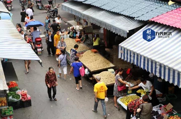 射洪未來房價預測與小巷深處的居住新篇章（2025年最新）