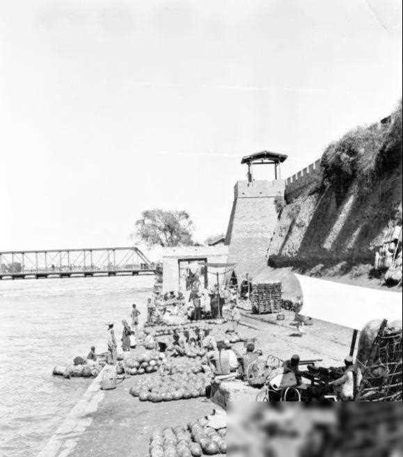 最新軍閥片，日常與友情交織的溫暖故事