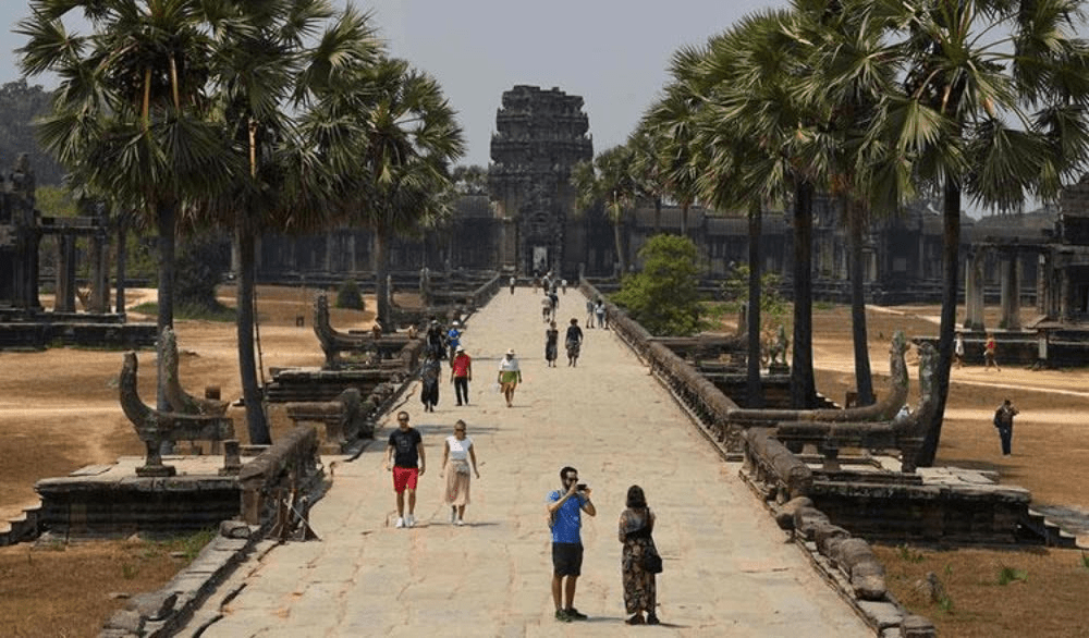 柬埔寨最新動態(tài)概覽