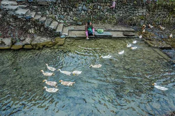 丁志華，閃耀光芒，引領(lǐng)時(shí)代新潮流
