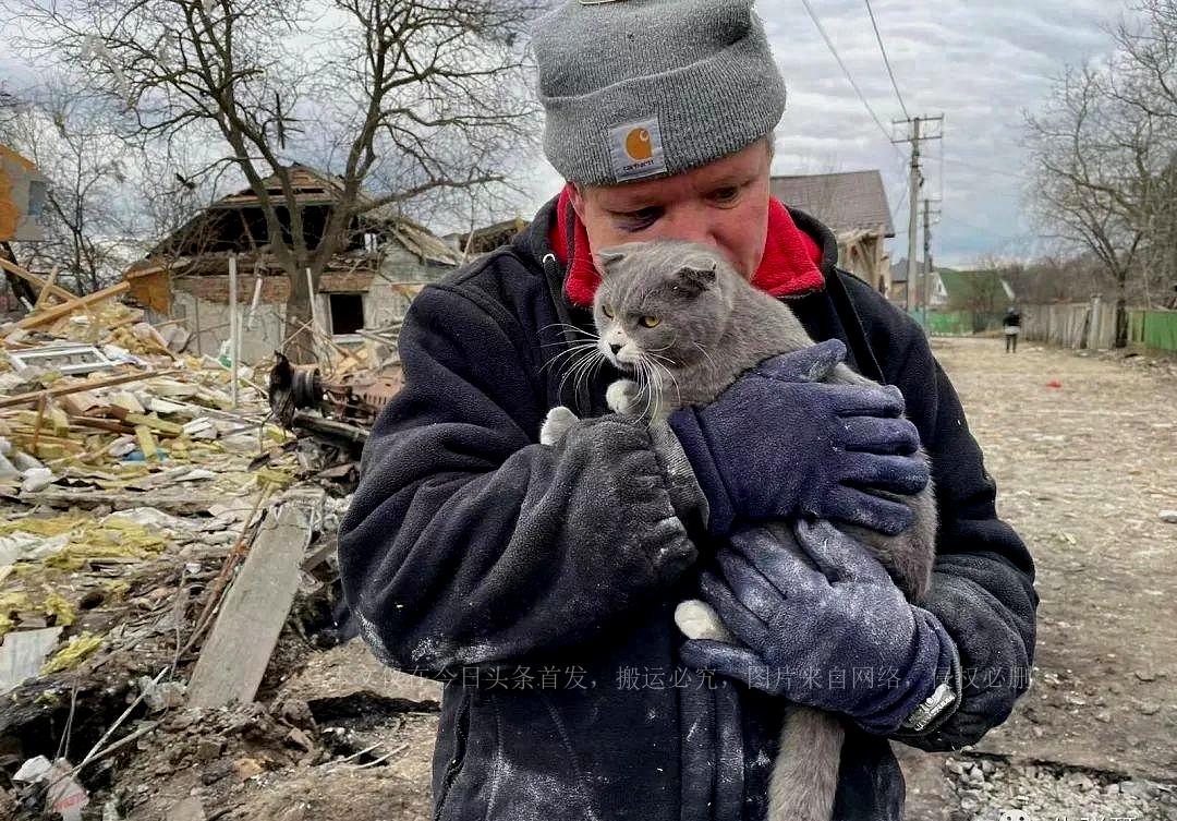 揭秘最新套路招數(shù)，深度探討與實(shí)戰(zhàn)解析