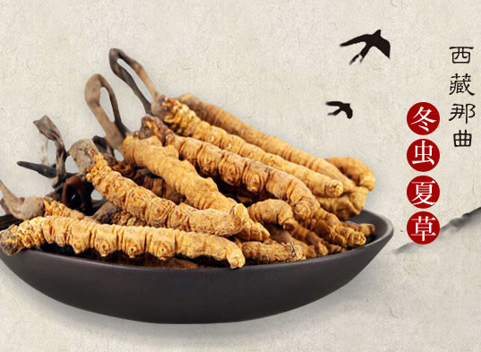 那曲蟲草最新價格動態(tài)，學習成長與自信成就感的源泉