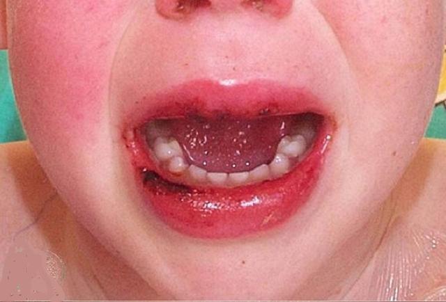 冠肺最新通報，自然美景探索之旅的心靈寧靜之旅