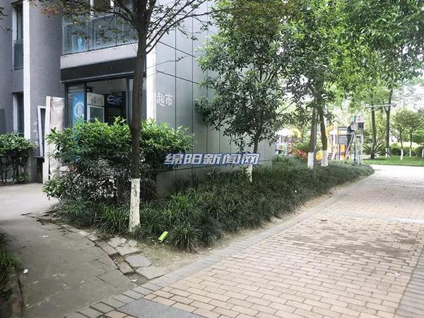 探索新時(shí)代的變遷與機(jī)遇，最新進(jìn)出肖動(dòng)態(tài)報(bào)道