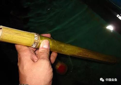 養(yǎng)魚最新工具概覽，創(chuàng)新產(chǎn)品助力養(yǎng)魚事業(yè)?