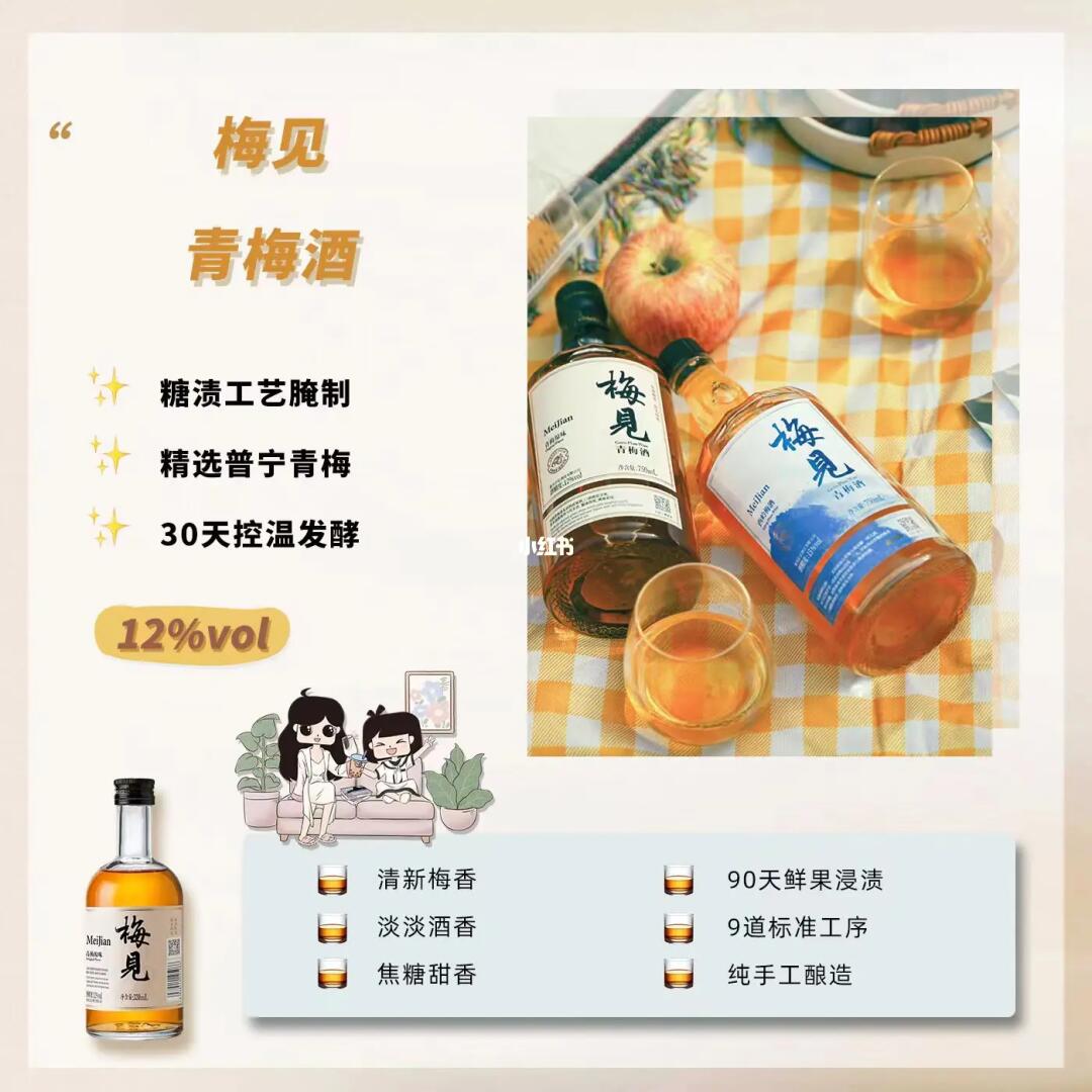 青梅最新產(chǎn)品引領(lǐng)健康食品潮流新風(fēng)尚