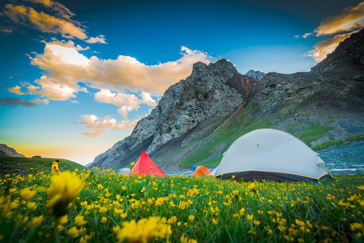 芳草冰視最新，任務(wù)完成與技能學(xué)習(xí)詳細(xì)步驟指南