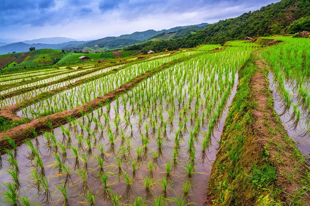 金屬?zèng)_壓模具的加工銷(xiāo)售 第59頁(yè)