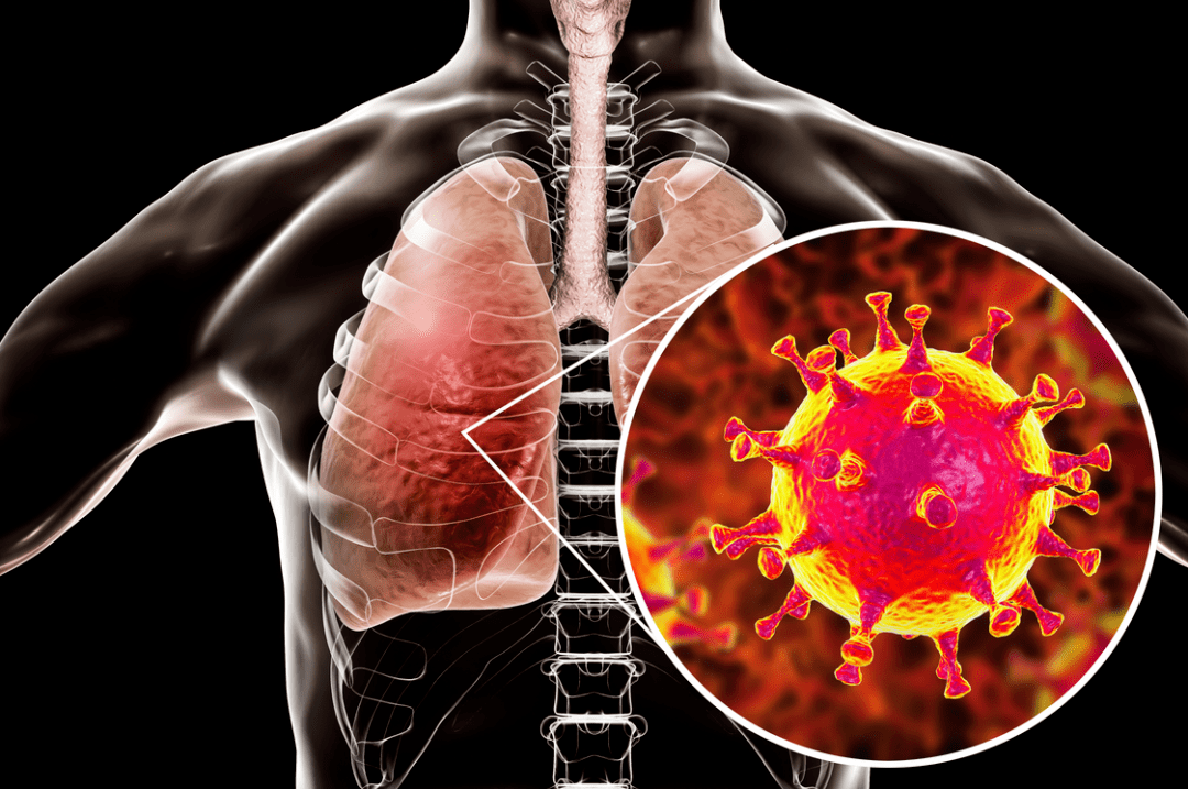 全球病毒疫情最新動(dòng)態(tài)，心靈之旅在大自然的呼喚中啟程