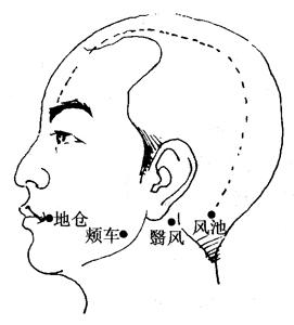最新經(jīng)絡(luò)療法，開啟健康之旅的秘訣??
