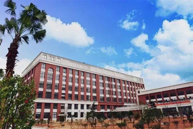 溫州最新動態(tài)，城市變遷中的學(xué)習(xí)之光