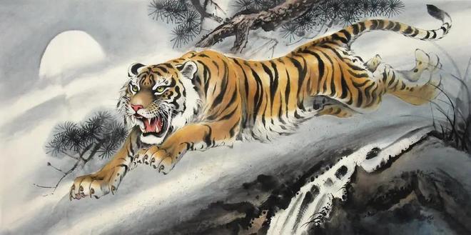 四虎之力新紀(jì)元，探索潛能與力量的無限可能