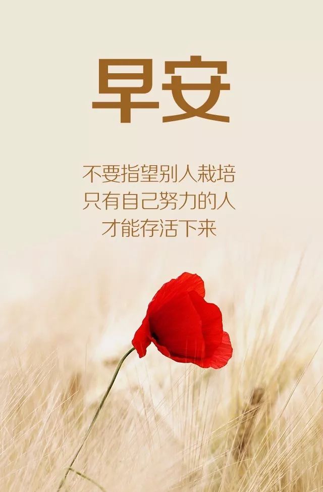 最新早安語(yǔ)錄，巷弄深處獨(dú)特小店喚醒你的清晨時(shí)光