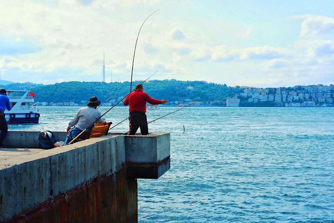 抖音最新流量趨勢(shì)洞察，機(jī)遇與挑戰(zhàn)并存