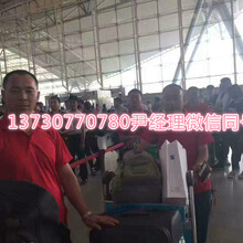 寶應最新焊工招聘指南，如何成為專業(yè)焊工的全步驟學習指南