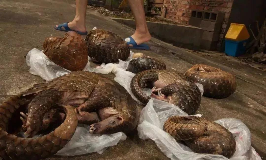 管軼最新證據(jù)揭示，變化是成長(zhǎng)的催化劑，學(xué)習(xí)自信之源