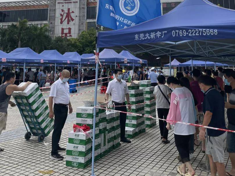 鳳崗鎮(zhèn)最新疫情更新