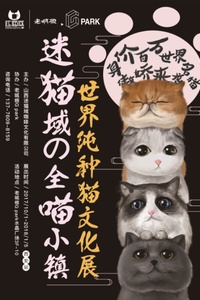 喵咪最新域，溫馨有趣的日常故事分享