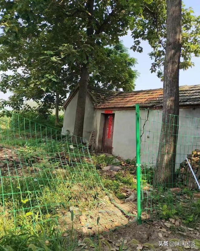 網(wǎng)曝門最新動(dòng)態(tài)，任務(wù)完成與技能學(xué)習(xí)指南全攻略