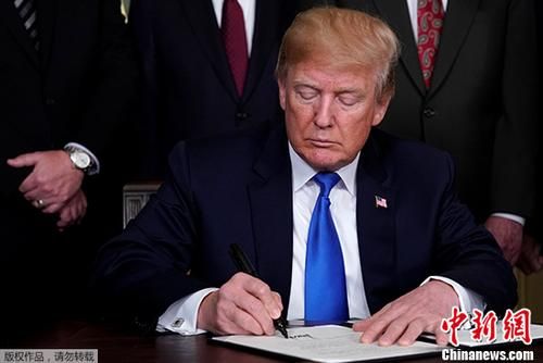 美國(guó)新任總統(tǒng)的日常趣事與溫馨時(shí)刻揭秘