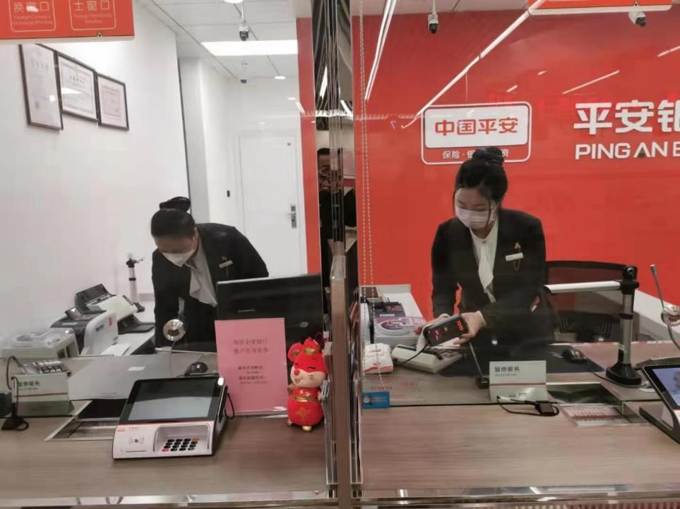 青島最新疫情狀況詳解，步驟指南與實(shí)時(shí)更新