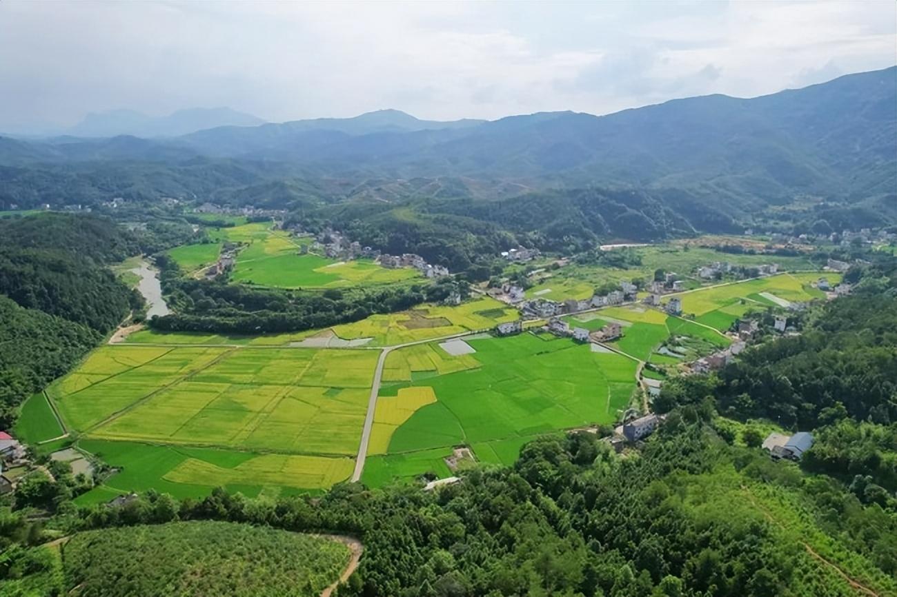 最新收稻機助力高效農(nóng)業(yè)收割??