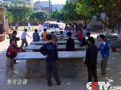 甲肝最新動態(tài)與自然美景之旅，探尋內(nèi)心的寧靜與平和