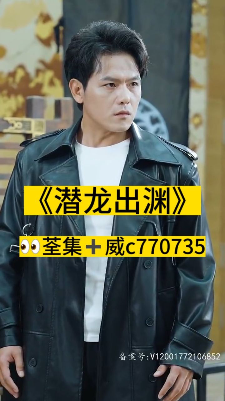 淘龍最新視頻，日常趣事與愛之陪伴