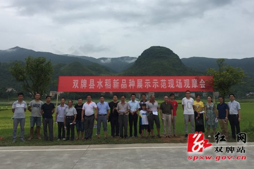 雙牌縣新時代新面貌，探尋最新發(fā)展與變化